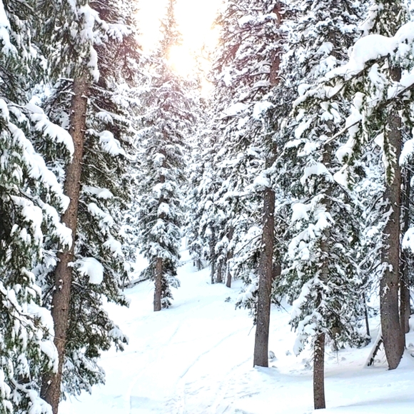 Ambassador❤Mentor❤High Rated Seller❤Send Offers❤ - Picture 11 of 12